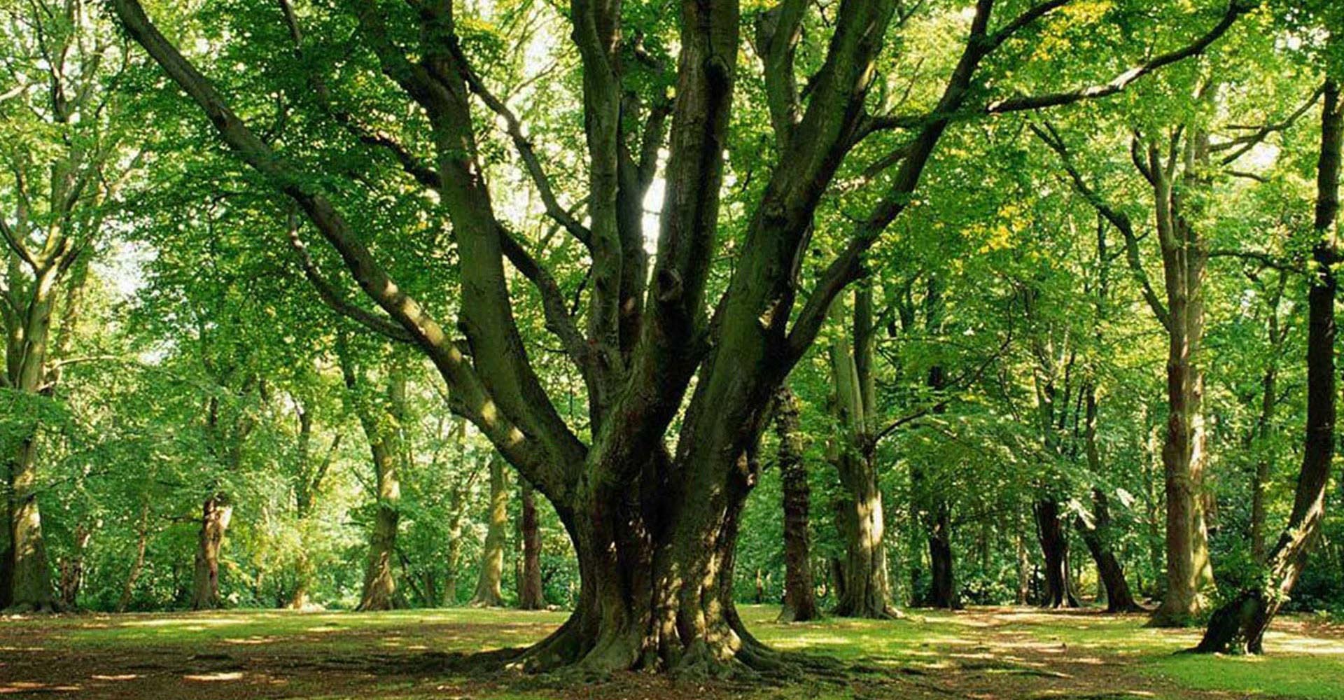 Lavorazione pannelli e salvaguardia dell'ambiente